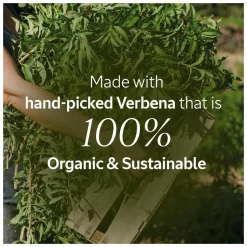 L'Occitane Mint Verbena Exfoliating Shower Gel