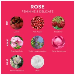 L'Occitane Rose Eau de Toilette Spray