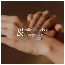 L'Occitane Shea Butter Hand Cream