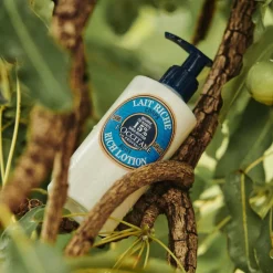 L'Occitane Shea Butter Rich Body Lotion