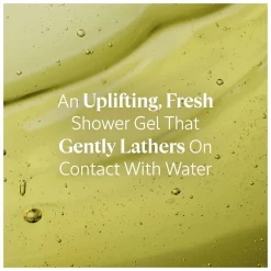 L'Occitane Verbena Shower Gel Refill