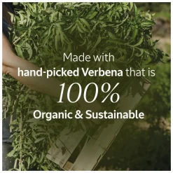 L'Occitane Verbena Shower Gel