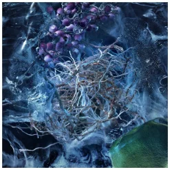 Moncler Les Sommets Le Bois Glace Eau de Parfum Spray