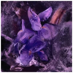 Moncler Les Sommets Le Solstice Eau de Parfum Spray