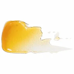 NIOD Neck Elasticity Catalyst