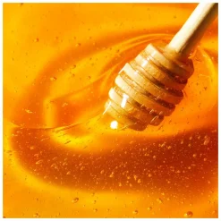 Nuxe Reve de Miel Hand and Nail Cream