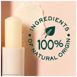 Nuxe Reve de Miel Lip Moisturising Stick