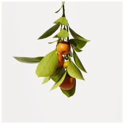 Origins Crisp Citrus Moisturising Hand Cream