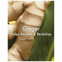 Origins Ginger Incredible Spreadable Smoothing Ginger Body Scrub