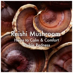 Origins Mega-Mushroom Relief & Resilience Advanced Face Serum