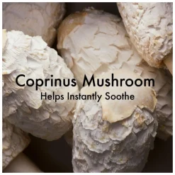 Origins Mega-Mushroom Relief & Resilience Soothing Gel Cream For Eyes