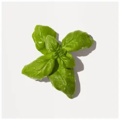 Origins Peace Of Mind Moisturising Hand Cream