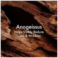 Origins Plantscription Retinol Night Moisturiser