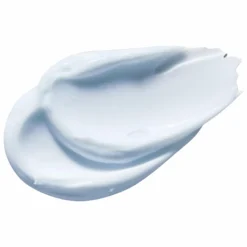 PAYOT Source Adaptogen Moisturising Cream