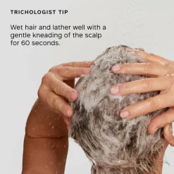 Philip Kingsley Pure Blonde / Silver Brightening Daily Shampoo