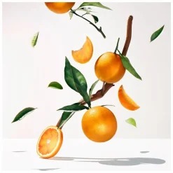 Roger & Gallet Bois d'Orange Hand & Nail Balm