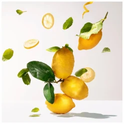 Roger & Gallet Cedrat Wellbeing Soap