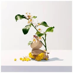 Roger & Gallet Neroli Wellbeing Soap