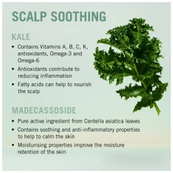 Schwarzkopf Professional BC Bonacure Scalp Soothing Shampoo