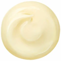 Shiseido Benefiance Wrinkle Smoothing Cream - Enriched