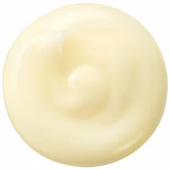 Shiseido Benefiance Wrinkle Smoothing Cream