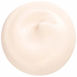 Shiseido Essential Energy Hydrating Day Cream SPF20