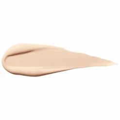 Shiseido Synchro Skin Self-Refreshing Concealer