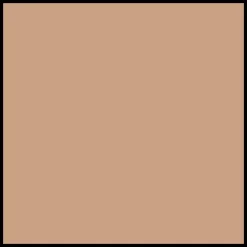 Shiseido WetForce QuickDry Sports BB Compact SPF50+