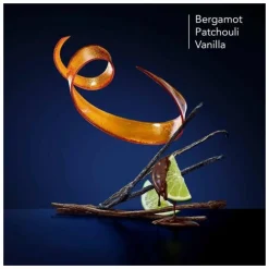 Thierry Mugler Angel Hair & Body Fragrance Mist