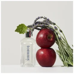 Tommy Hilfiger Tommy Eau de Toilette Spray