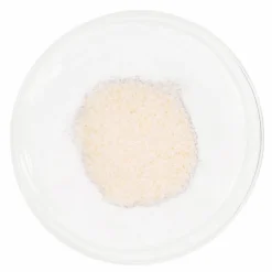 Vida Glow Natural Marine Collagen Sachets - Mango Flavour